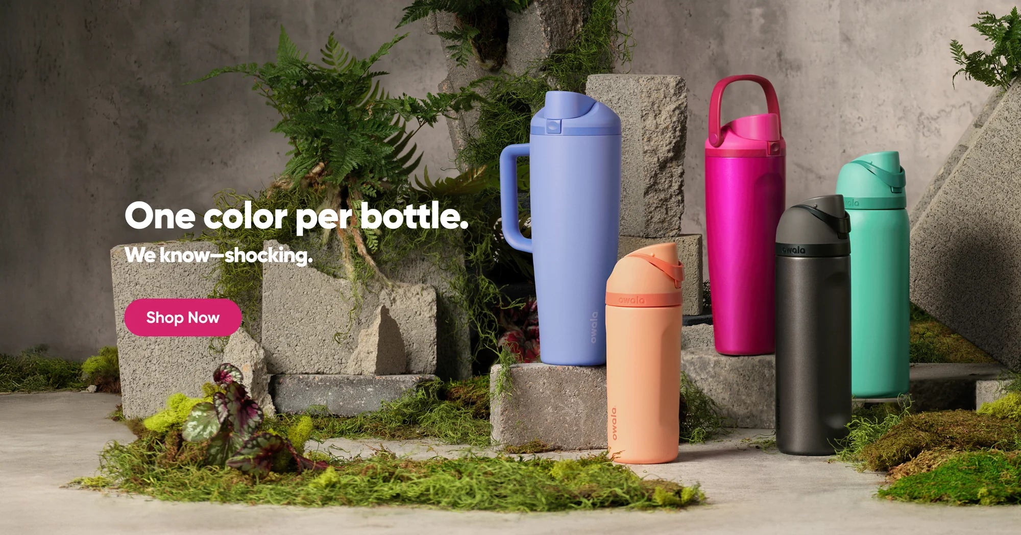 slider image 1659522562509a09c0-0